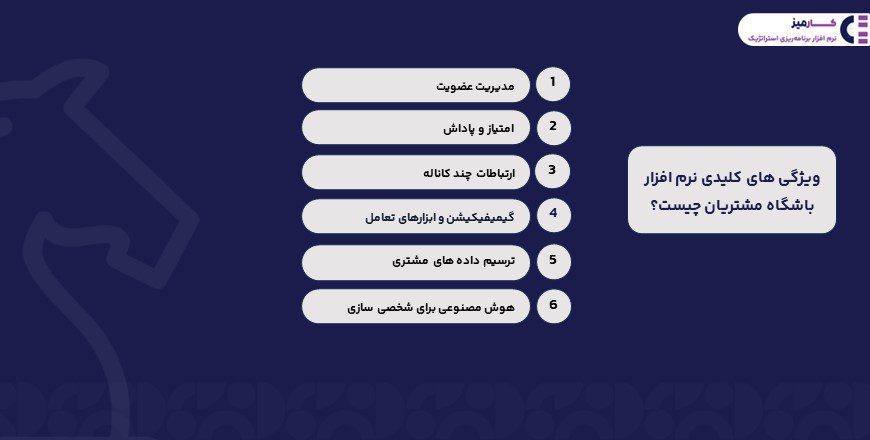 ویژگی های نرم افزار باشگاه مشتریان